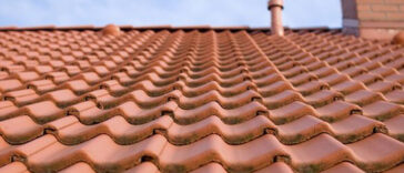 Ανέκδοτο: Η γάτα, τα κεραμίδια και η... μαμά!