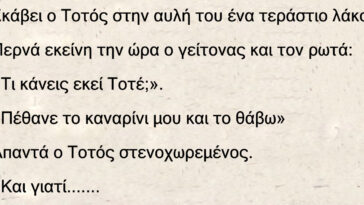 Σκάβει ο Τοτός ένα τεράστιο λάκο. Περνά εκείνη την ώρα ο γείτονας και τον ρωτά