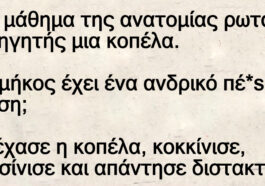 Στο μάθημα της ανατομίας ρωτά ο καθηγητής μια κοπέλα