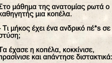 Στο μάθημα της ανατομίας ρωτά ο καθηγητής μια κοπέλα