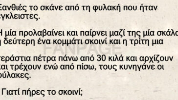 Ξανθιές το σκάνε από τη φυλακή που ήταν έγκλειστες