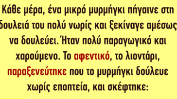 ΑΝΕΚΔΟΤΟ: Κάθε μέρα, ένα μικρό μυρμήγκι πήγαινε στη δουλειά του πολύ νωρίς και ξεκίναγε αμέσως να δουλεύει