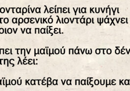 Ανέκδοτο: Η λιονταρίνα λείπει για κυνήγι και το αρσενικό λιοντάρι