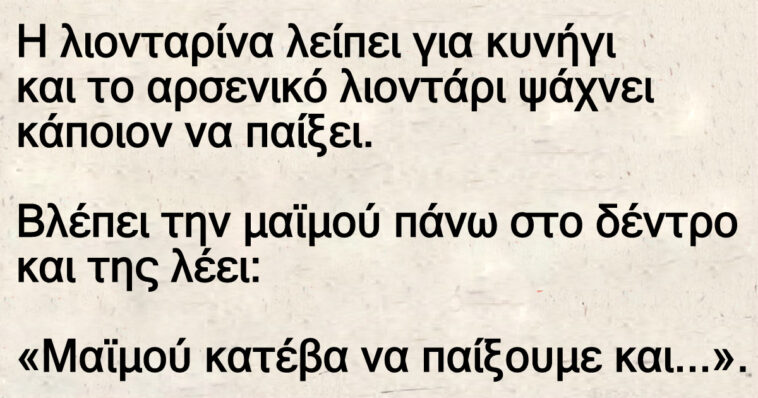 Ανέκδοτο: Η λιονταρίνα λείπει για κυνήγι και το αρσενικό λιοντάρι