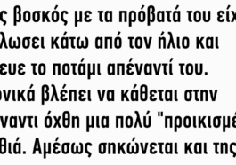 Ένας βοσκός με τα πρόβατά του είχε ξαπλώσει κάτω από τον ήλιο