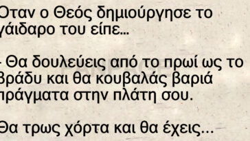 Ανέκδοτο: Όταν Ο Θεός Δημιούργησε Τον Γάιδαρο.