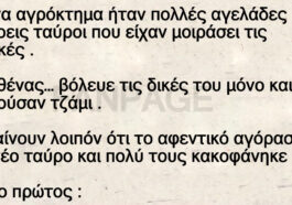 Το ανέκδοτο της ημέρας: Οι αγελάδες και ο καινούριος ταύρος