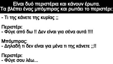 Ανέκδοτο: Είναι δυό περιστέρια και κάνουν έρωτα