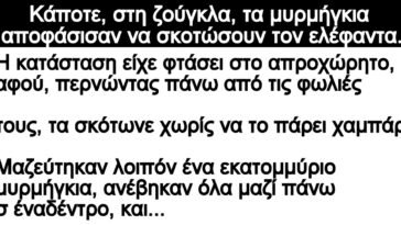 Ανέκδοτο: Κάποτε, στη ζούγκλα, τα μυρμήγκια αποφάσισαν να σκοτώσουν τον ελέφαντα