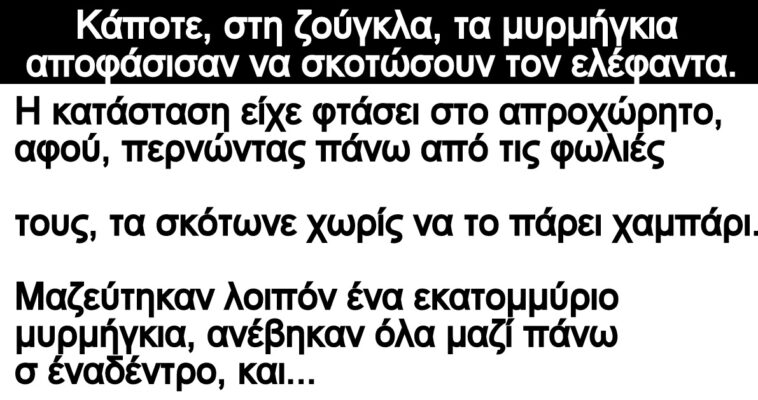 Ανέκδοτο: Κάποτε, στη ζούγκλα, τα μυρμήγκια αποφάσισαν να σκοτώσουν τον ελέφαντα