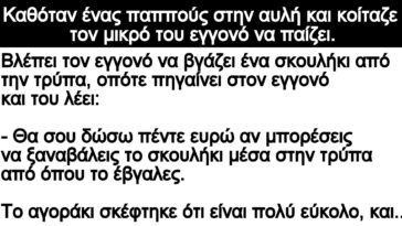 Ανέκδοτο: Καθόταν ένας παππούς στην αυλή και κοίταζε τον μικρό του εγγονό να παίζει