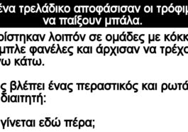 Ανέκδοτο: Σε ένα τρελάδικο αποφάσισαν οι τρόφιμοι να παίξουν μπάλα