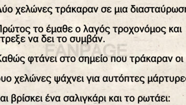 Το ανέκδοτο της ημέρας: Τράκαραν δυο χελώνες