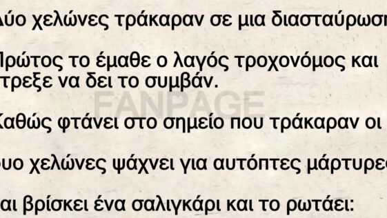Το ανέκδοτο της ημέρας: Τράκαραν δυο χελώνες