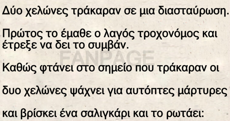 Το ανέκδοτο της ημέρας: Τράκαραν δυο χελώνες