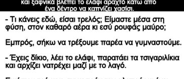 Ανέκδοτο: Τρέχει ο λαγός tου σκοτωμού στο δάσος, ξαφνικά βλέπει το ελάφι αραχτό να καπνίζει χασίσι
