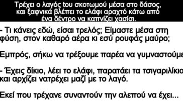 Ανέκδοτο: Τρέχει ο λαγός tου σκοτωμού στο δάσος, ξαφνικά βλέπει το ελάφι αραχτό να καπνίζει χασίσι