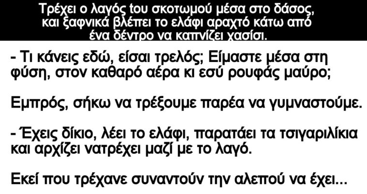 Ανέκδοτο: Τρέχει ο λαγός tου σκοτωμού στο δάσος, ξαφνικά βλέπει το ελάφι αραχτό να καπνίζει χασίσι