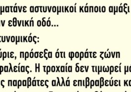 Το Ανέκδοτο της Ημέρας: Σταματάνε αστυνομικοί κάποιο αμάξι στην εθνική οδό