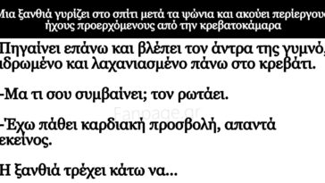 Το ανέκδοτο της ημέρας: Η ξανθιά και ο άτακτος σύζυγος