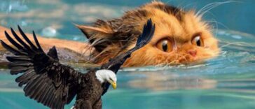 Ανεκδοτάρα! Όσο πιο μεγάλο είναι το πουλί…