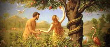 Ανέκδοτο: Η δημιουργία της γυναίκας