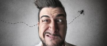 Ανέκδοτο: Ο Πόντιος και ο εισπράκτορας …! Τρελό γέλιο