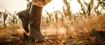 Απίστευτο ανέκδοτο: Ο αμαρτωλός αγρότης