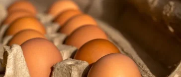 Ανέκδοτο με μπέμπη: Ο μπαμπάς και το αβγό…