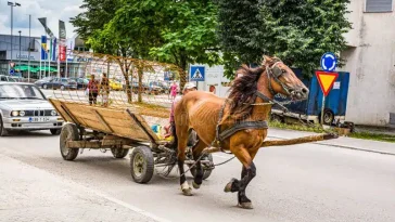 Ανέκδοτο: Ο Κυρ Κώστας και η άμαξα με τα άλογα …! Τρελό γέλιο