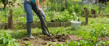 Ανέκδοτο με ξανθιά γειτόνισσα: Γιατί κοκκινίζουν;