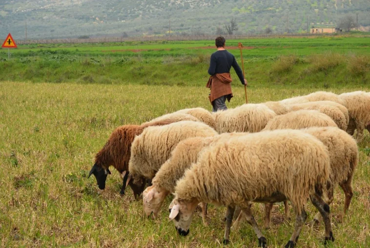 Ανέκδοτο με βοσκό: Άλλος ακούει;